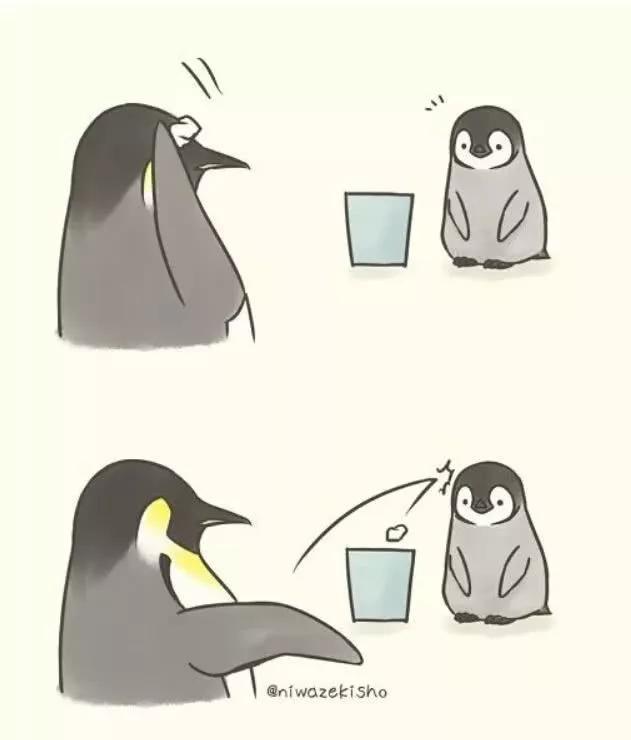 “爸!你饶了我吧!”这组治愈感满满的小企鹅漫画,太暖了!