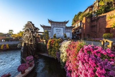 ​18年花29万丽江买房，给父母养老，如今父母身体异样，后悔不已
