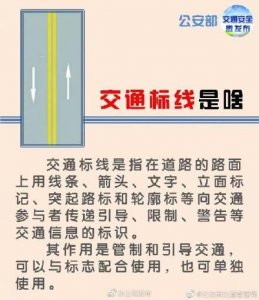 ​路面上画的各种箭头代表什么意思？