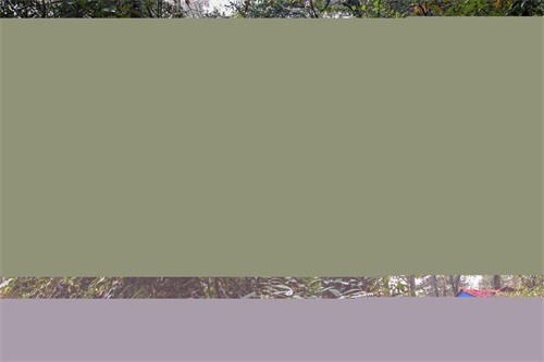 江西于都屏山牧场的多彩风光,清幽安静的山林很适合散心,看咋样