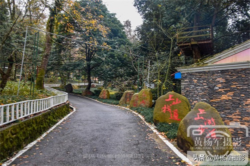 江西于都屏山牧场的多彩风光,清幽安静的山林很适合散心,看咋样
