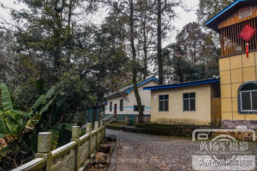 江西于都屏山牧场的多彩风光,清幽安静的山林很适合散心,看咋样