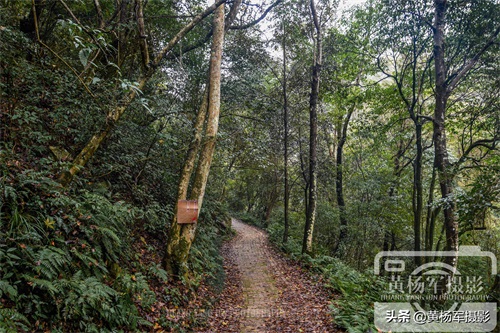 江西于都屏山牧场的多彩风光,清幽安静的山林很适合散心,看咋样