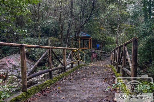江西于都屏山牧场的多彩风光,清幽安静的山林很适合散心,看咋样