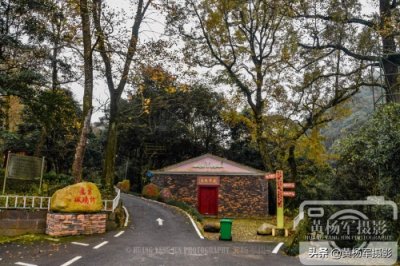 ​江西于都屏山牧场的多彩风光，清幽安静的山林很适合散心，看咋样