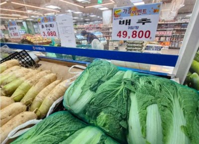 ​网友心疼农民，中国白菜太便宜！而隔壁的韩国，白菜卖出了天价！