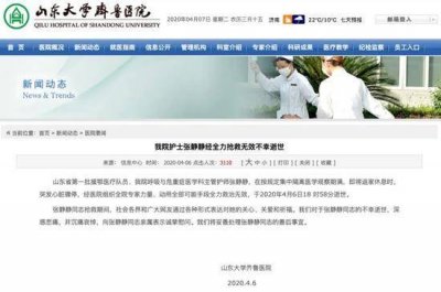 张静静在返程飞机上的一幕曝光 张静静在返程飞机上说了什么话