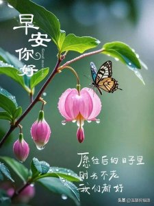​13张今日早上好最新版本今天早上好精选图片，问候最暖，祝福最深