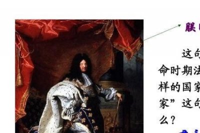 ​拿破仑七世在法国的地位
