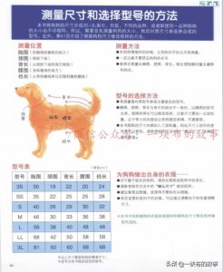 ​时尚宠物衣服裁剪图1