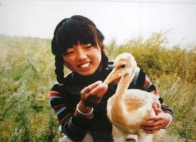 ​丹顶鹤女孩牺牲27年后，弟弟也在保护区殉职，如今侄女继承遗志