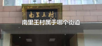 ​南里王村属于哪个街道（西安南里王村属于哪个街道）