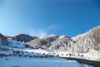 ​伏牛山伏牛山滑雪场：超长滑道，365天都有雪滑！