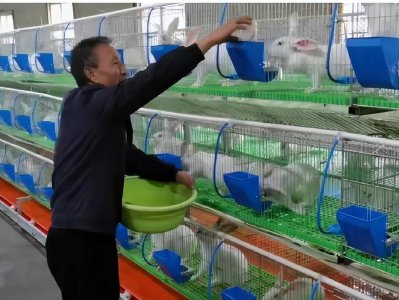 ​汉阴涧池镇全力以赴掀起复工复产热潮