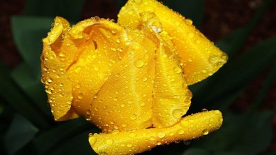 ​比较小家子气的生肖，太过敏感，总是疑神疑鬼