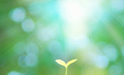 ​曹义昂答疑009：请问老师生龙凤胎好不好？