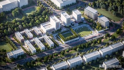 ​骑马找马”：普通人如何在“换柱子”改革中求生？