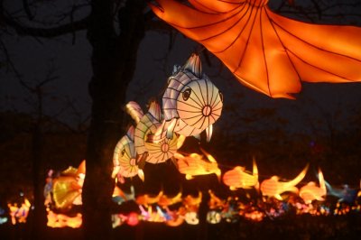 ​元宵之夜迎喜雨 花灯市集齐上阵  2025厦门缤纷元宵夜活动12日正式开启
