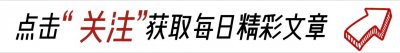 ​芹菜与水芹菜：绿色双雄，谁更胜一筹