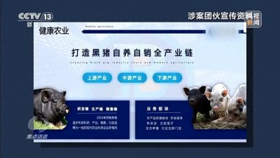 ​传销3.0版，云养黑猪白赚6000？“老”传销新套路，数万人被骗！