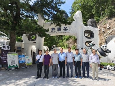 ​走进佛坪 欢乐熊猫谷