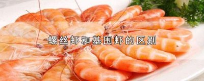 ​螺丝虾和基围虾的区别