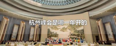 ​杭州峰会是哪一年开的