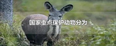 ​国家重点保护动物分为