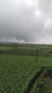 ​广州南沙榄核疑似出现龙卷风，气象部门正在调查
