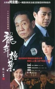 龙年档案(电视剧)