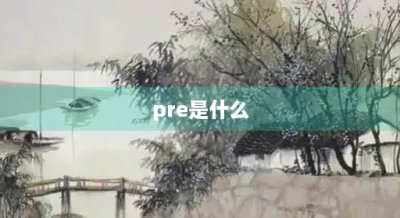 ​pre是什么(pre是什么意思大学)