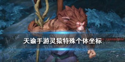 ​天谕手游灵猿特殊个体坐标在哪里