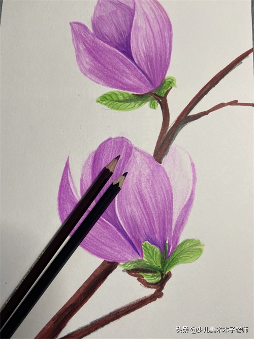 快跟少儿美术木子老师一起学画玉兰花吧!超美腻,一看就会