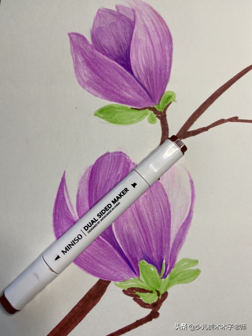 快跟少儿美术木子老师一起学画玉兰花吧!超美腻,一看就会