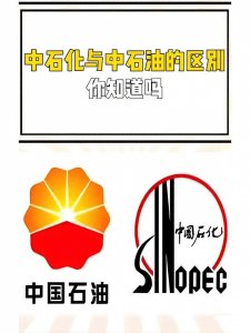 ​《中石油VS中石化：颠覆你对石油行业的认知！》