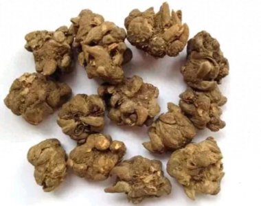 猫爪草4个黄金搭配,冲跑全身的结节,简单方便又省钱!