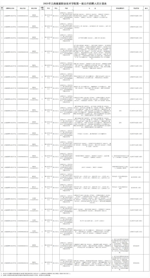 2025年云南能源职业技术学院第一批公开招聘人员公告_Sheet1.png
