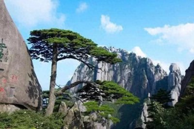 ​以下是安徽游玩必去的景点，详细攻略我已经放在里面了#安徽