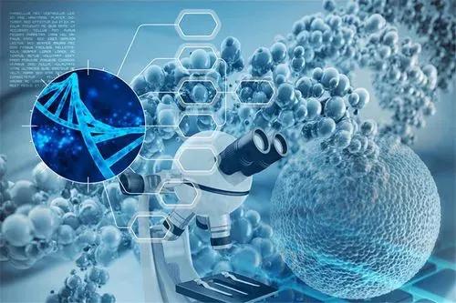 生物技术这个专业学完了毕业能做什么（生物技术学什么课程内容）