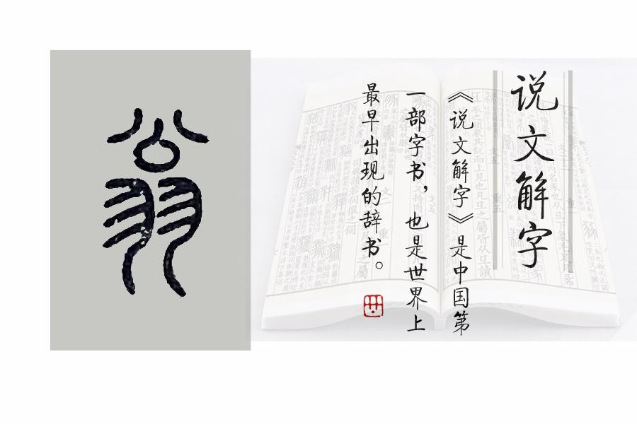 翁姑指什么人(翁姑是什么意思)