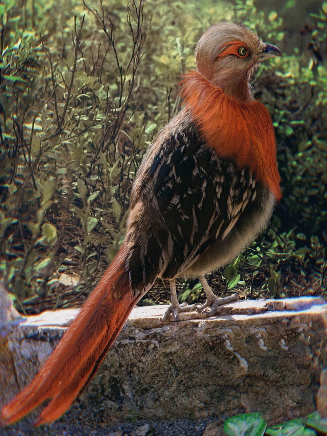 翁姑指什么人(翁姑是什么意思)