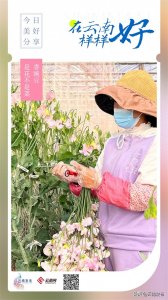 ​香豌豆，是花不是菜！