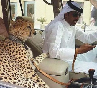 ​迪拜十大首富 家乐福马吉德•弗泰伊姆第一 总资产达600亿