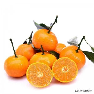 ​广东省阳江市特产——阳春马水桔