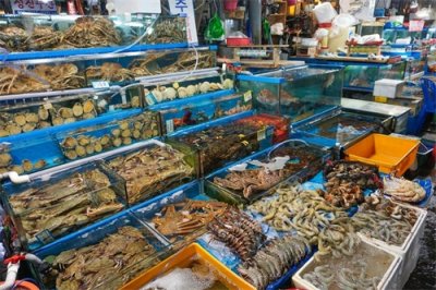 ​全国著名水产批发市场在哪里？中国十大水产批发市场 哪里的最有名