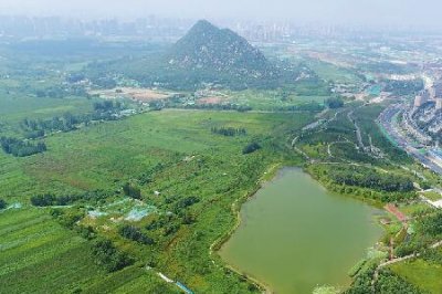 ​济南华山简介