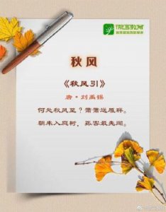 ​最是橙黄橘绿时的上一句是什么