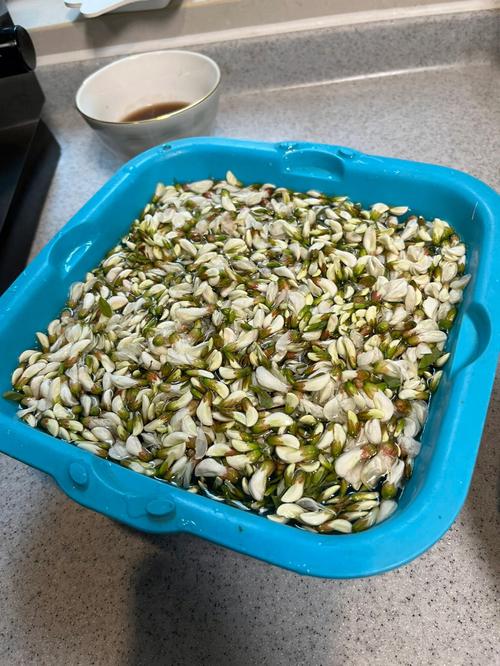 蒸槐花的做法详细步骤(做蒸槐花的步骤)