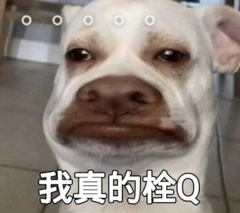 ​拴q是什么意思网络用语，吐槽的感谢(用来表达自己的不满)