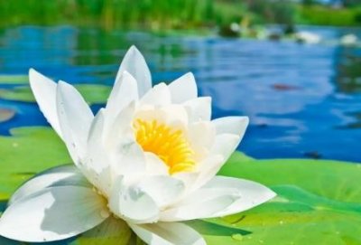 ​95平装修设计多少钱装修一个95平米的房子多少钱